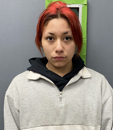 Tupelo traffic stop leads to multiple charges | Coalgate Record Register