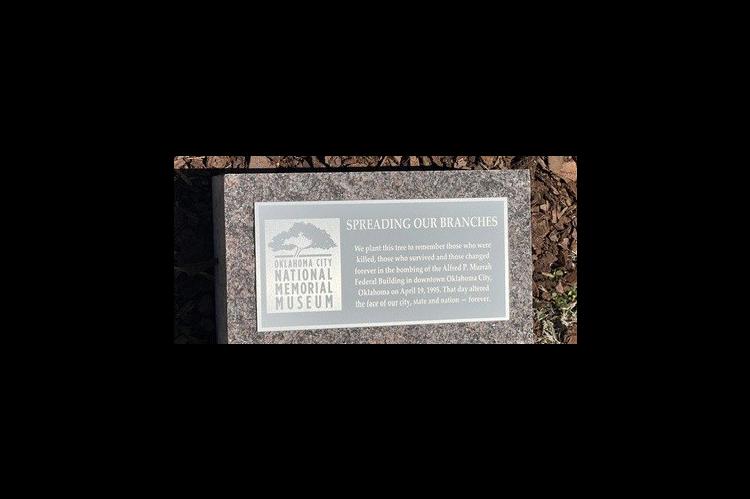 IN REMEMBRANCE: “SPREADING OUR BRANCHES” — This memorial stone is placed near the newly planted sapling that some day will be a beautiful tree. It reads, “We plant this tree to remember those who were killed, those who survived and those changed f