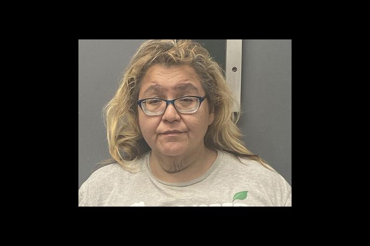 Coalgate couple charged with stealing chainsaw