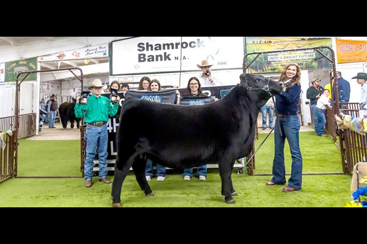 Liz Sliger - Grand Champion Heifer