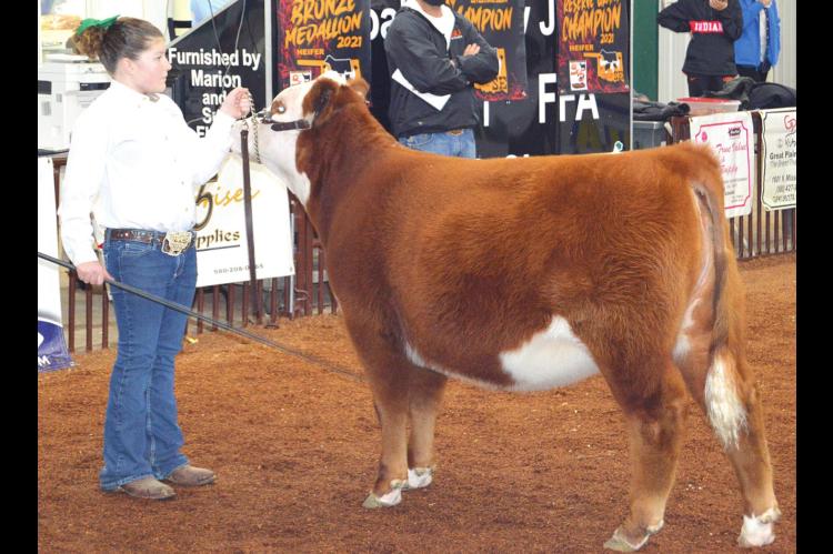 FFA, 4-H members participate in SE Regional Livestock Show