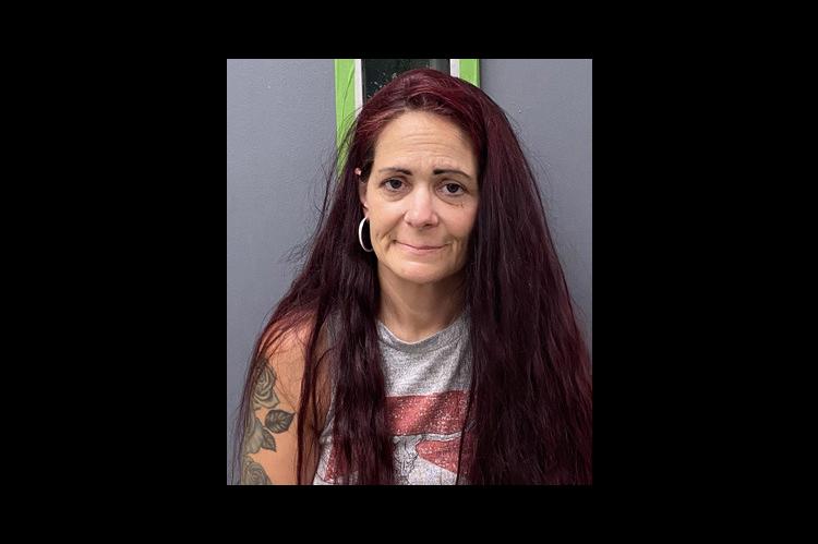 Atoka woman facing multiple felony charges