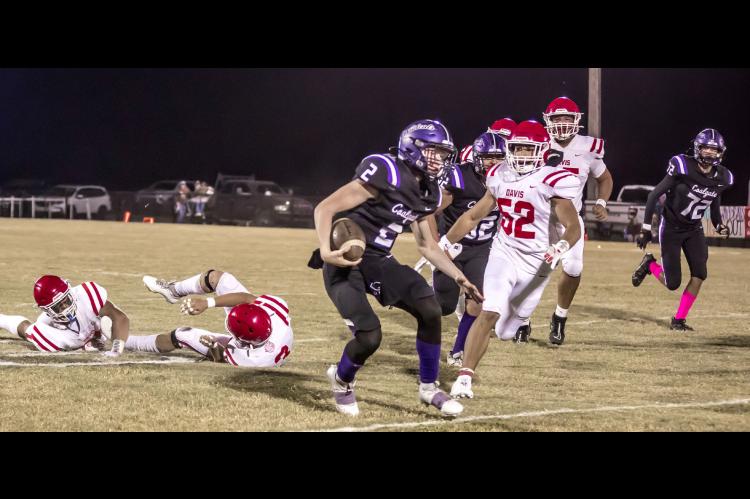 Wildcats Fall to Sixth-Ranked Davis Wolves, Prepare for Home Matchup Against Beggs