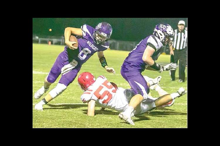 Wildcats shut out at home