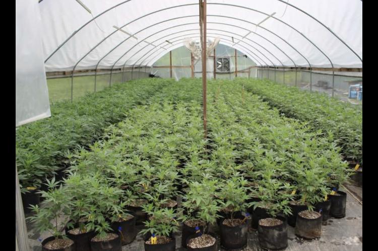 344 pounds of Marijuana Seized in Tupelo Raid