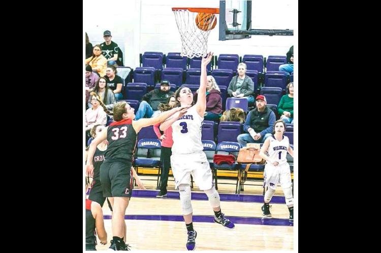 Lady Cats basketball recap