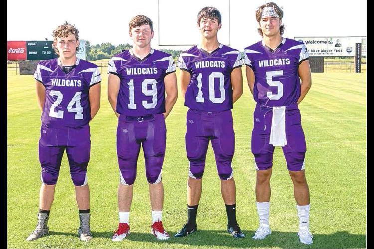Wolves blank Wildcats