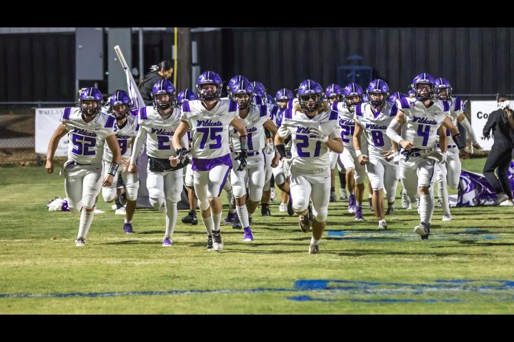Wildcats Fall Short by Only Single Touchdown