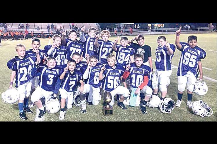 Two Wildcat Super Bowl Championship teams!
