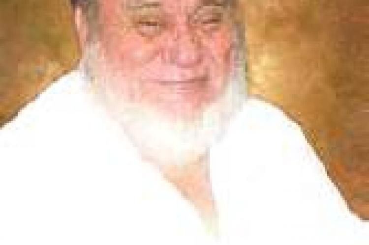 Article Image Alt Text