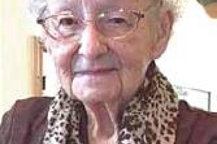 Article Image Alt Text