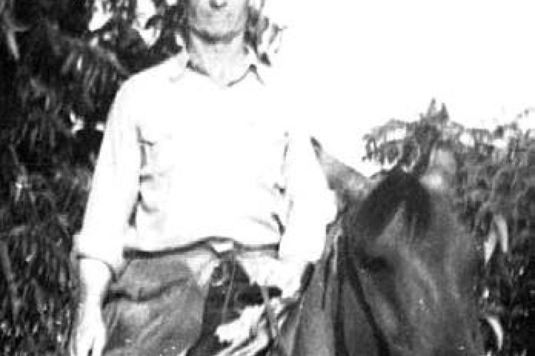 Article Image Alt Text