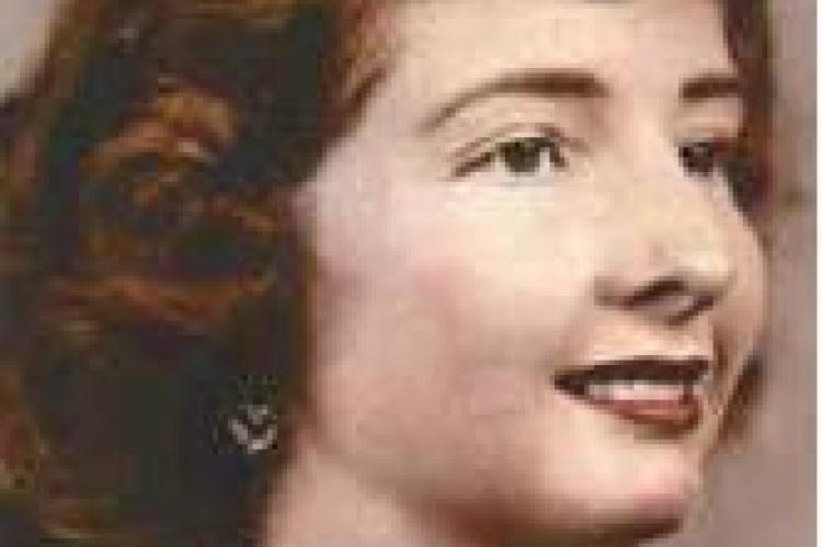 Article Image Alt Text