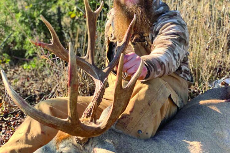 Article Image Alt Text