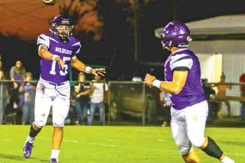 Article Image Alt Text