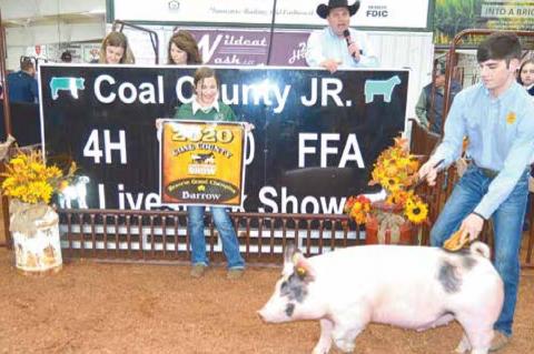 County Junior Livestock Premium Sale Winners 