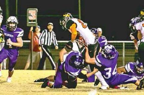 Article Image Alt Text