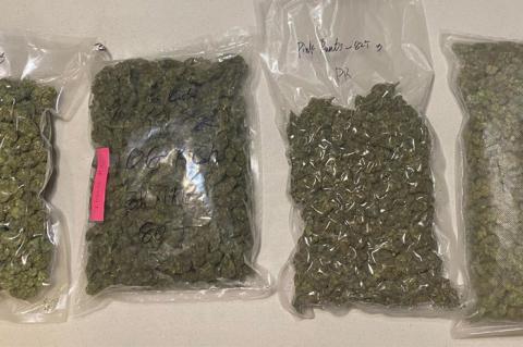 Tupelo Police Report