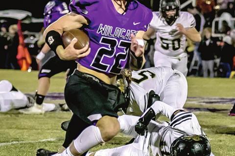 Wildcats end season on high note with big win