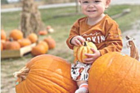 Tupelo Police arrest ICE fugitive