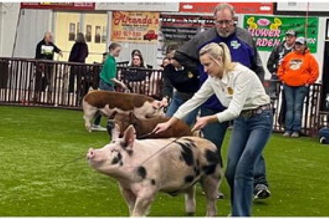 Tupelo Livestock Show