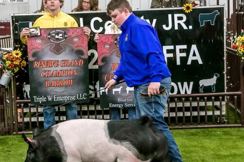 Coal County Junior Livestock Show Premium Sale Results