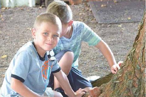 Article Image Alt Text