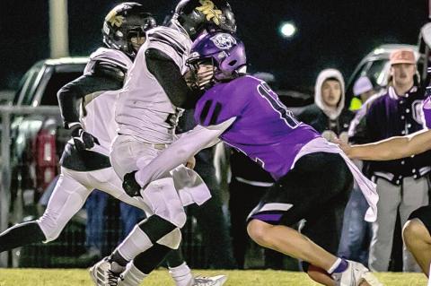 Wildcats end season on high note with big win