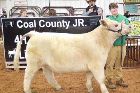 Coal County Junior Livestock Show Premium Sale