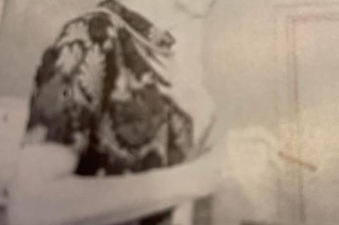 Lucretia Gravitt the difference maker joins Hall of Fame