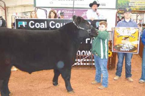 County Junior Livestock Premium Sale Winners 
