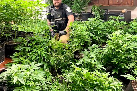 Traffic stops lead to record-breaking