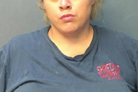 Article Image Alt Text