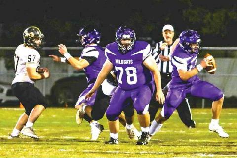 Article Image Alt Text