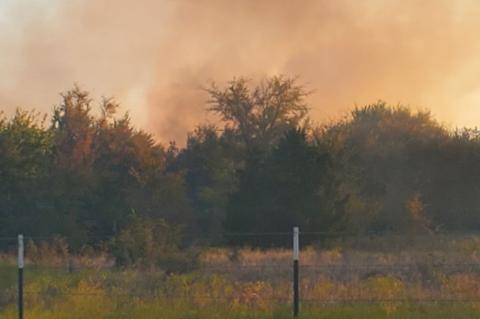 Article Image Alt Text