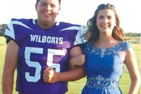 Article Image Alt Text