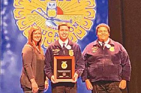 Article Image Alt Text