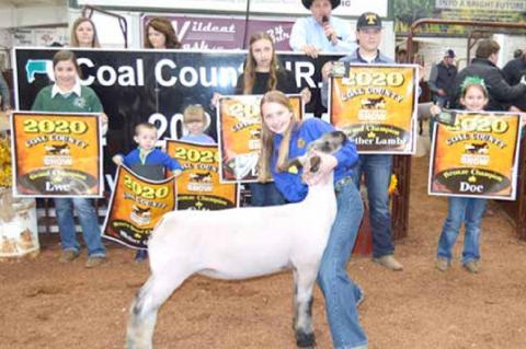 County Junior Livestock Premium Sale Winners 
