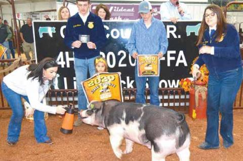 County Junior Livestock Premium Sale Winners 