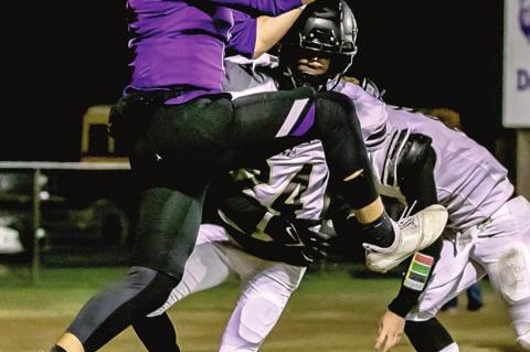 Wildcats end season on high note with big win