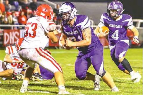 Article Image Alt Text