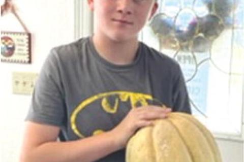 Dallas woman leads police on high-speed chase