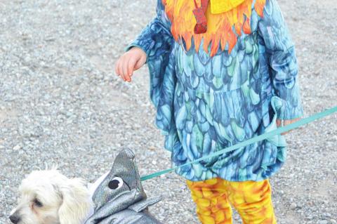 Coalgate Halloween Highlights