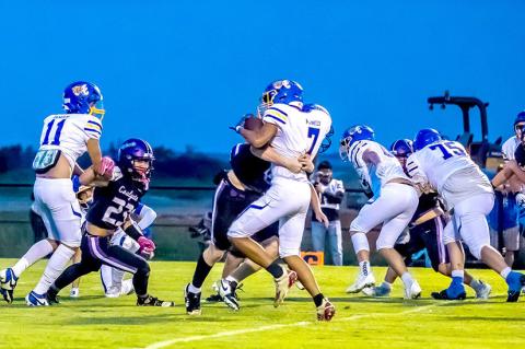 The Wildcat defense is showing great promise this season. They have never been more aggressive than they are today.