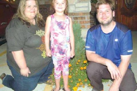 Article Image Alt Text