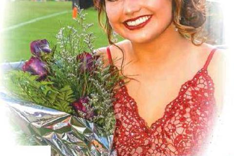 Article Image Alt Text