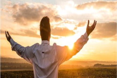 “News” from the lighter side Babylon Bee satires