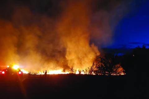 Article Image Alt Text