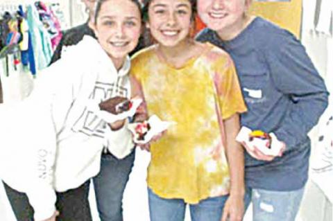 Article Image Alt Text