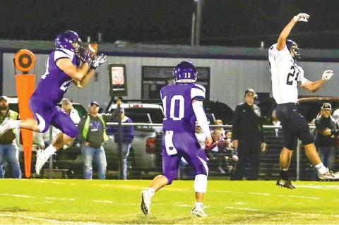 Article Image Alt Text